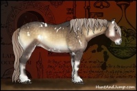 Horse Color:White Spotted Chocolate Palomino Onyx 