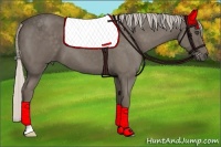 Horse Color:Silver Blue Roan 