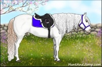 Horse Color:Chestnut Varnish 