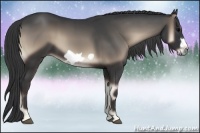 Horse Color:Blue Onyx Frame