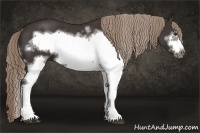 Horse Color:Liver Chestnut Sabino Frame Rabicano