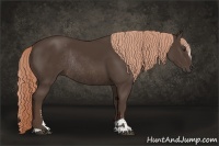 Horse Color:Liver Chestnut Sabino Rabicano