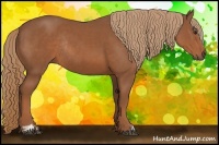 Horse Color:Chestnut Sabino Rabicano