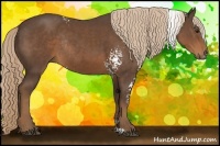 Horse Color:White Spotted Liver Chestnut Rabicano 