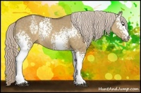 Horse Color:White Spotted Chocolate Palomino Dun Rabicano