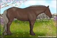 Horse Color:Liver Chestnut Rabicano