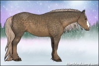 Horse Color:Chocolate Palomino 