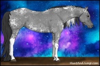 Horse Color:Smoky Black Ice Tobiano