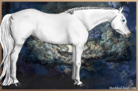 Horse Color:Gray Blue Roan Splash Appaloosa