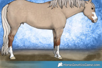 Horse Color:Silver Grullo 