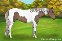 Horse Color:Silver Black Tobiano 