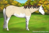 Horse Color:Buckskin Roan Dun Splash