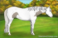 Horse Color:Silver Smoky Blue Roan Splash Tobiano