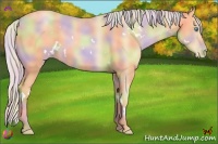 Horse Color:Nacre White Spotted Silver Classic Champagne Pearl 