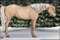 Horse Color:White Spotted Silver Bay Pearl 