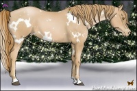 Horse Color:White Spotted Chestnut Pearl