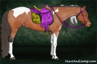 Horse Color:Bay Tobiano Appaloosa 