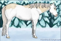 Horse Color:Silver Classic Champagne Roan Dun Splash Frame