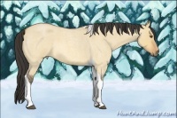 Horse Color:Buckskin Roan Dun Tobiano
