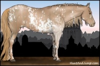 Horse Color:White Spotted Liver Chestnut Pearl  and White Spotted Liver Chestnut Pearl 