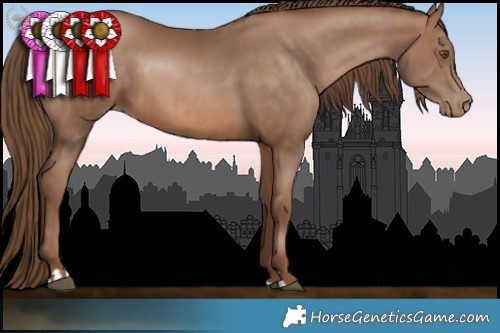 Horse Color:Brown Pearl  and Brown Pearl 