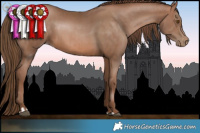 Horse Color:Brown Pearl and Brown Pearl