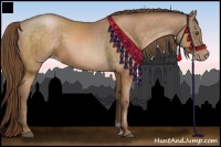 Horse Color:Bay Pearl  and Bay Pearl 