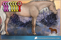 Horse Color:Liver Chestnut Pearl Mushroom and Liver Chestnut Pearl Mushroom