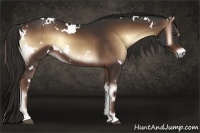 Horse Color:White Spotted Liver Red Onyx 