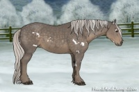 Horse Color:White Spotted Silver Smoky Black 