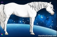 Horse Color:Gold Cream Champagne Dun Splash Appaloosa 