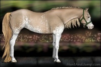 Horse Color:White Spotted Liver Chestnut Pearl  and White Spotted Liver Chestnut Pearl 