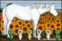 Horse Color:Gray Buckskin Roan Sabino Splash Rabicano 