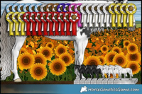 Horse Color:Gray Smoky Black Sabino Splash Tobiano Appaloosa Rabicano