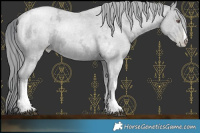 Horse Color:White Spotted Blue Chinchilla Ice Roan Pearl and White Spotted Blue Chinchilla Ice Roan Pearl