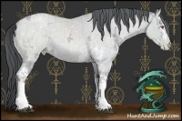 Horse Color:White Spotted Blue Chinchilla Ice Roan Pearl  and White Spotted Blue Chinchilla Ice Roan Pearl 