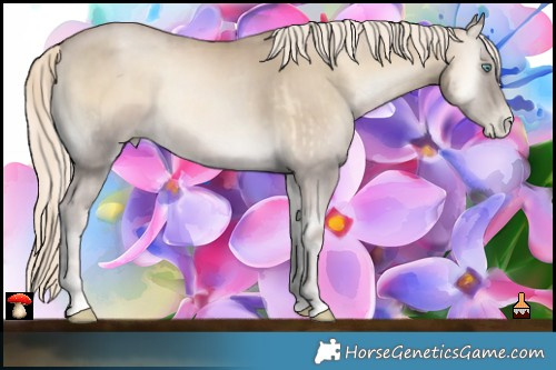 Horse Color:Chocolate Palomino Pearl Onyx Mushroom  and Chocolate Palomino Pearl Onyx Mushroom 