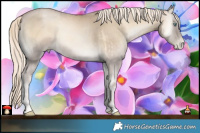 Horse Color:Chocolate Palomino Pearl Onyx Mushroom and Chocolate Palomino Pearl Onyx Mushroom