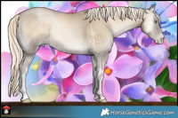 Horse Color:Chocolate Palomino Pearl Onyx Mushroom and Chocolate Palomino Pearl Onyx Mushroom