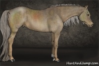 Horse Color:Chocolate Palomino  Brindle