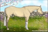 Horse Color:Silver Buckskin Dun 