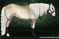 Horse Color:Liver Red Onyx Pearl and Liver Red Onyx Pearl