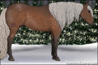 Horse Color:Silver Brown
