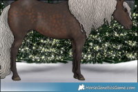 Horse Color:Silver Brown 