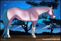 Horse Color:Watercolor Bay Onyx 