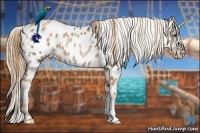 Horse Color:Liver Chestnut Pearl Appaloosa  and Liver Chestnut Pearl Appaloosa 