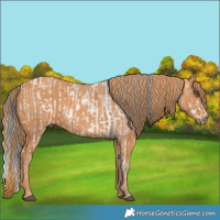 Horse Color:Brown Chinchilla Pearl Dun Sabino Tobiano Frame  Brindle