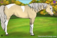 Horse Color:White Spotted Silver Buckskin Dun Tobiano 
