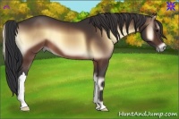 Horse Color:Brown Onyx