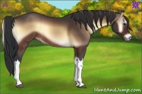 Horse Color:Brown Onyx Rabicano